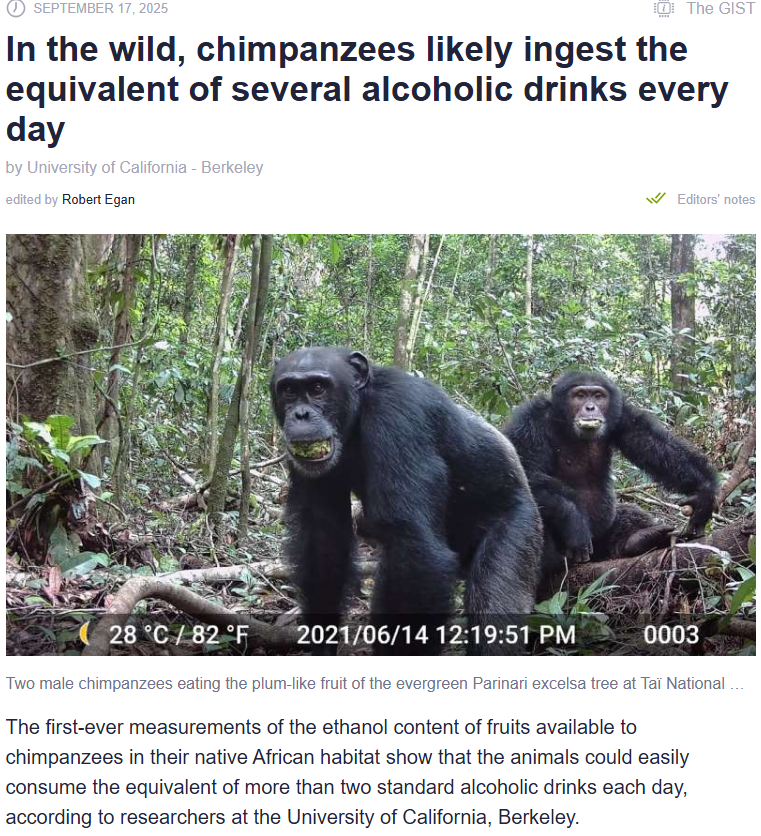 neorecusant's tweet photo. GM, chimps. It's Thirsty Thursday https://t.co/0YOJtNTGDs