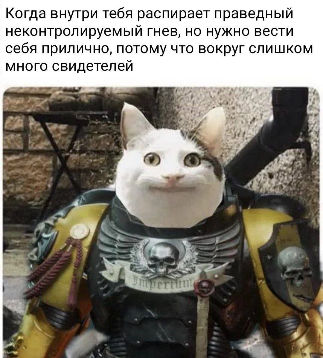 Дантес (@dantesdmitriy) on Twitter photo 