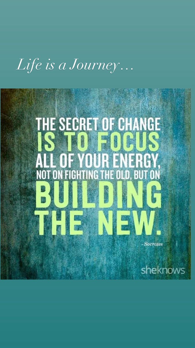 Susan McNamara tweet media