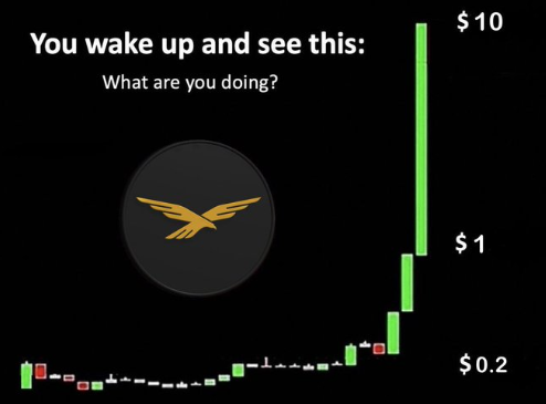 Boku718181's tweet photo. $wlfi

what u doin then? https://t.co/HKuk3Q1VZR