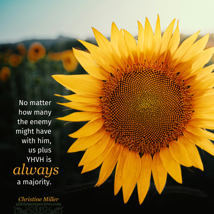 Christine982Mil's tweet photo. The arm of flesh does not even stand a chance. 🌼
#GodlinessWithContentment https://t.co/NUyE564K1p