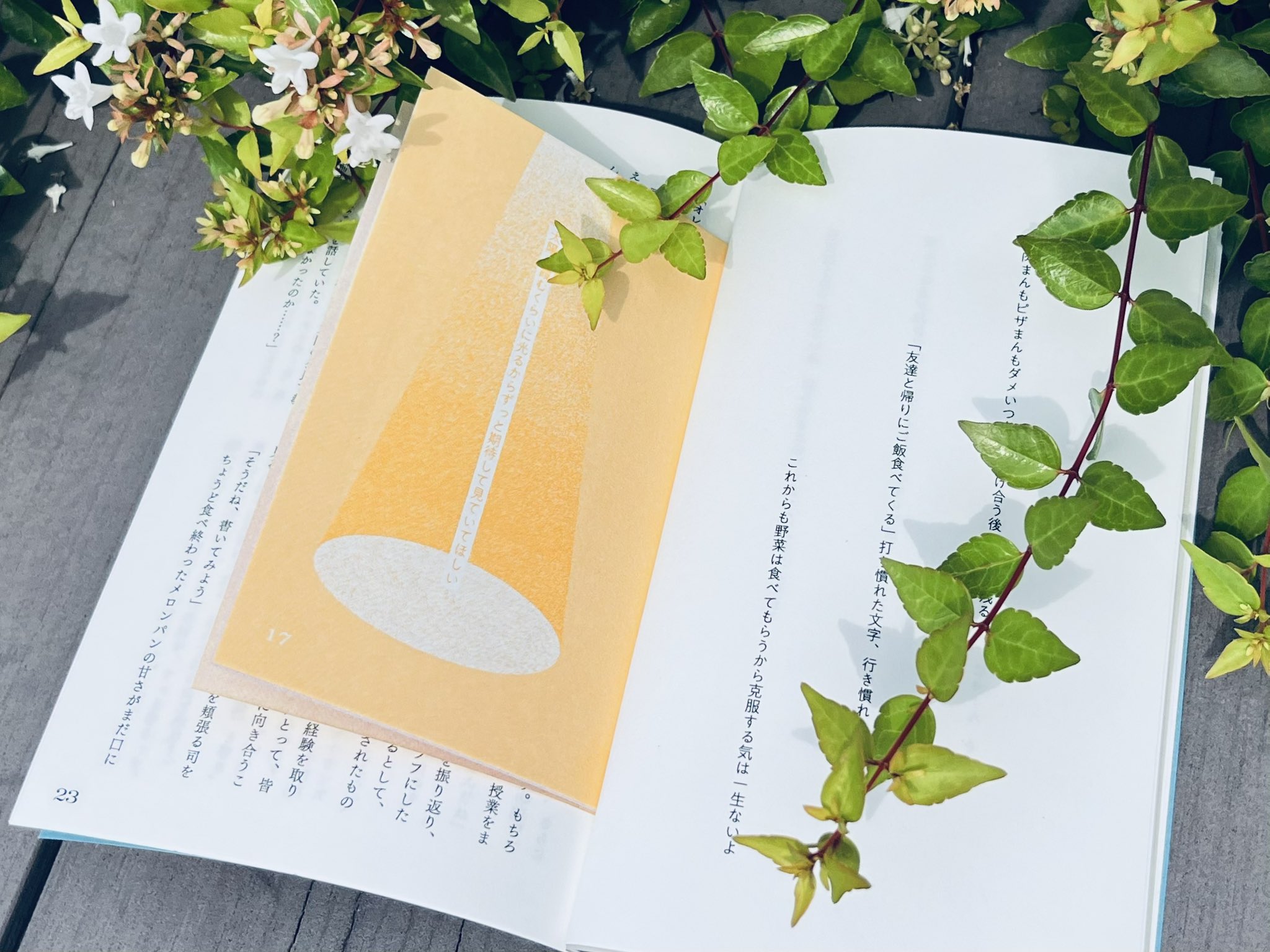MOVE 11冊まとめ売り❗️win palmbooks | パームブックス (@palmbooks_) / X