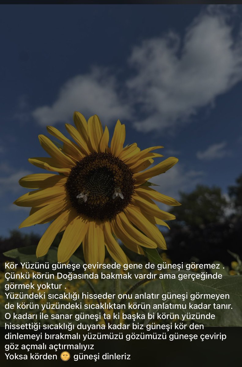 Dewıc (@erdezman293614) on Twitter photo 