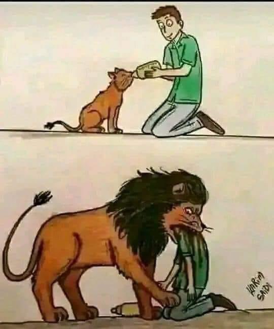 mentormqsculus's tweet photo. 16 Untold Facts About Women

These are the truths society hides from men. 

Read carefully, or stay blind.

1. Women are desperate for relationships. https://t.co/P8XyobYNIL
