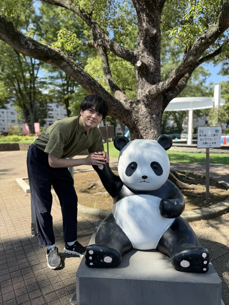 パンダ ⋰ 未公開オフショット🌱 ⋱ まとめてお届け ✉️ ✨✨第 𝟮 弾
