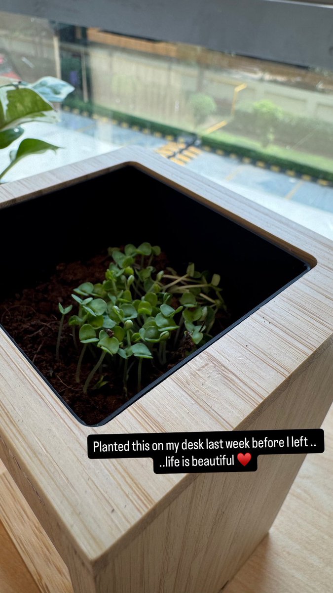 Growth requires nurturing and patience..