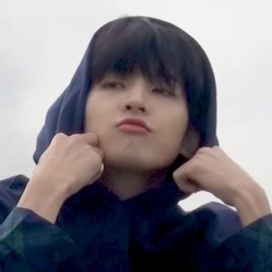 후드원우 누가 시러해,, 💗⌯&gt;v&lt;⌯ಣ