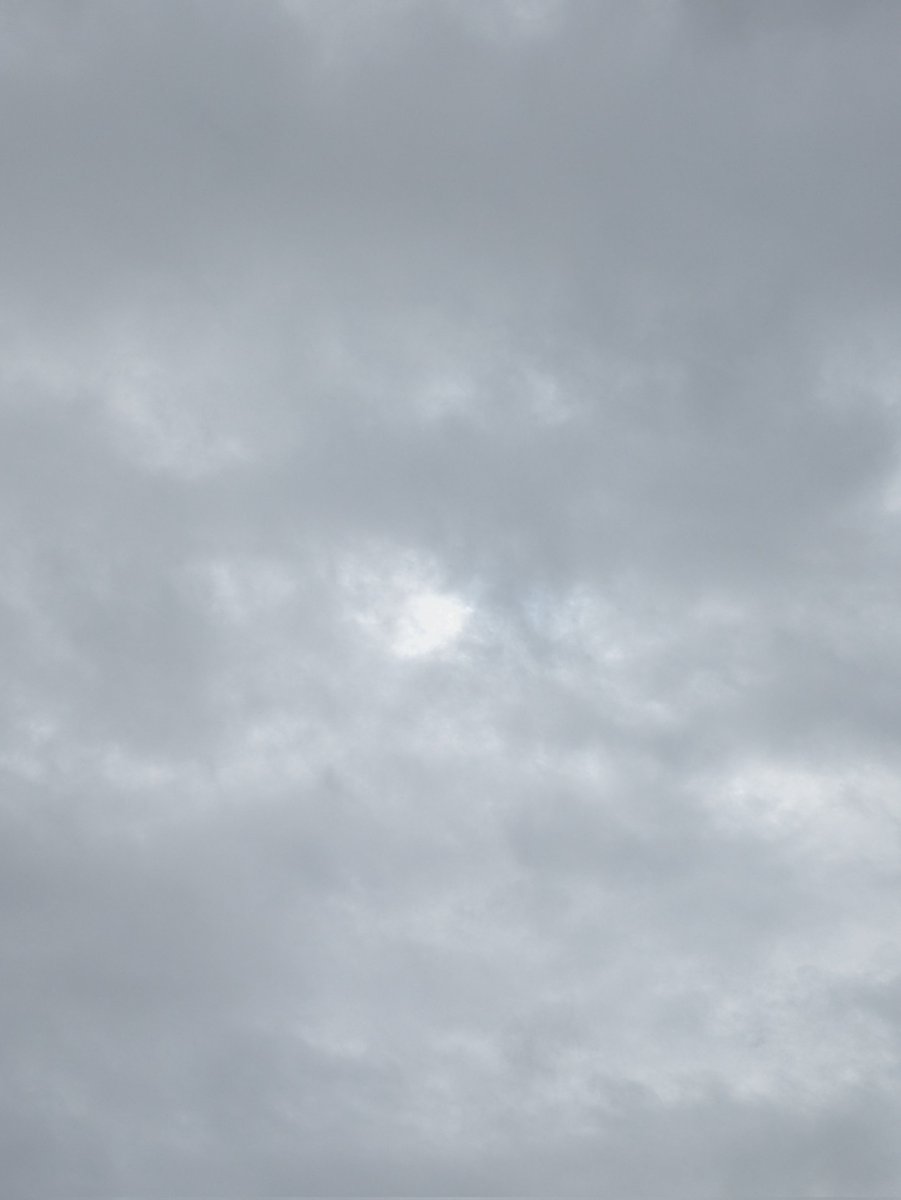 フェアや期間限定はつい食べちゃうね♡
ごちそうさまでした🙏