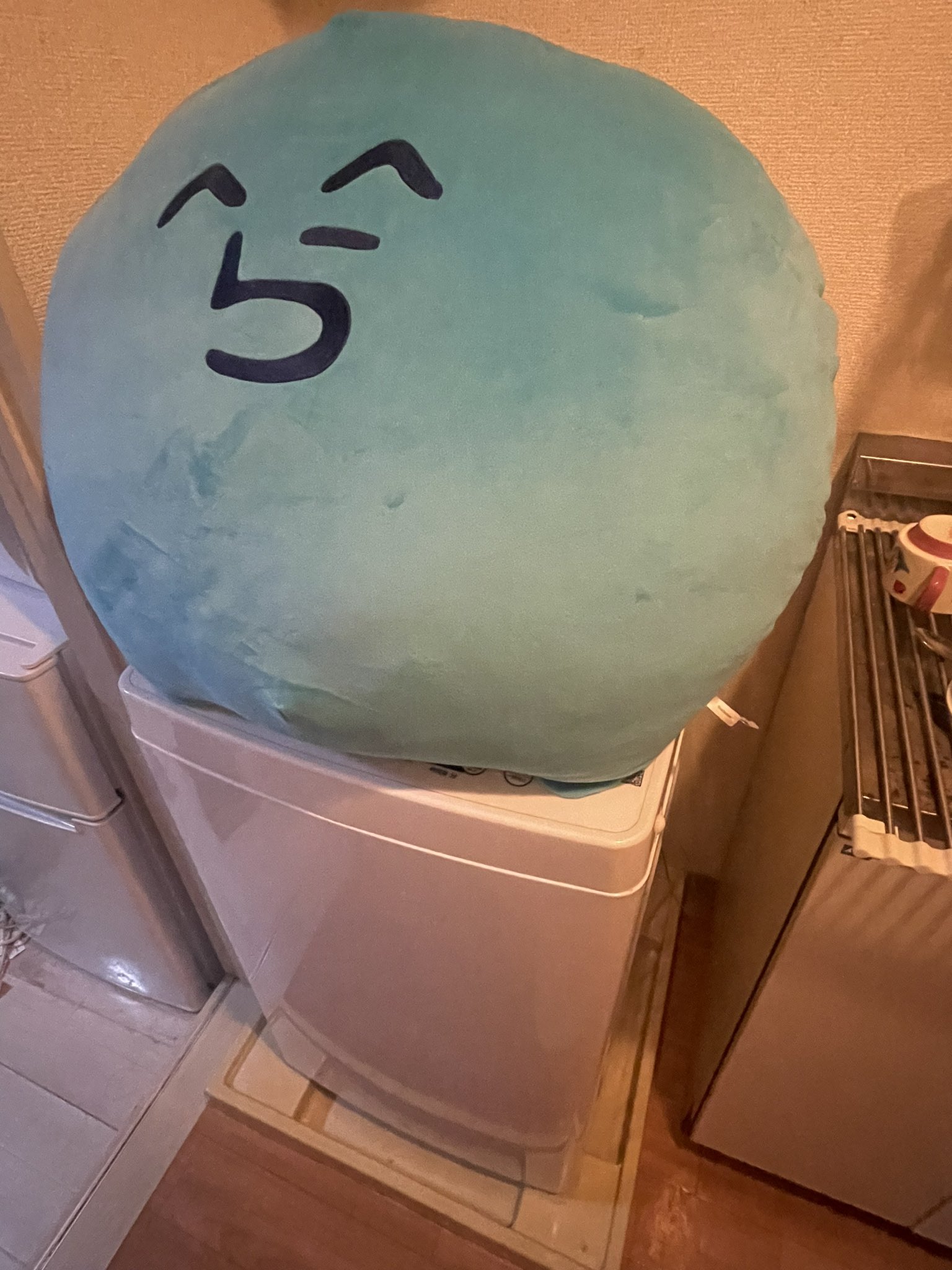 あゆの塩焼きさま確認ページ♡ 訳あり あゆの塩焼き 15尾 あゆ 鮎 アユ 鮎の塩焼き アユの