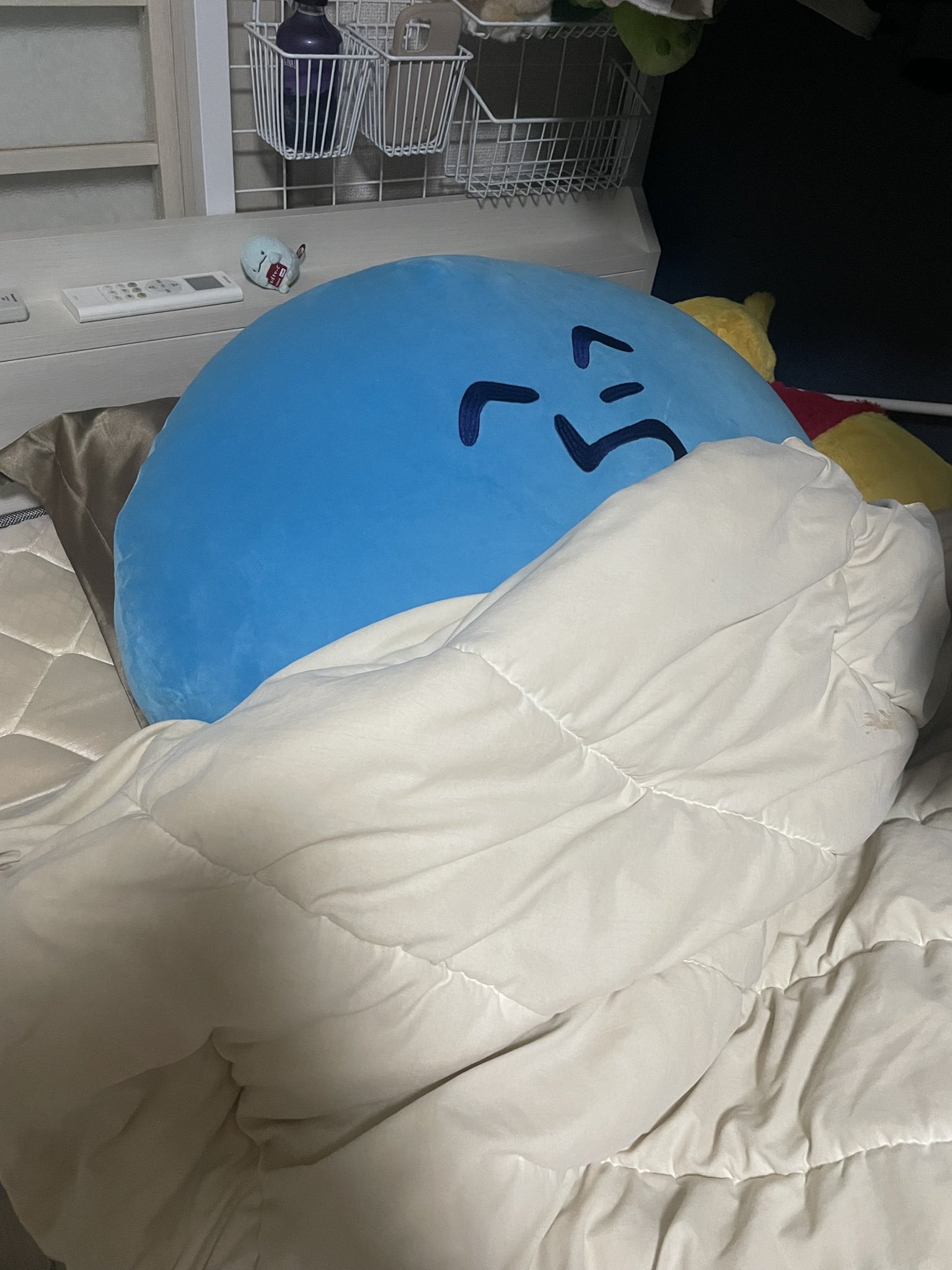 あゆの塩焼きさま確認ページ♡ 訳あり あゆの塩焼き 15尾 あゆ 鮎 アユ 鮎の塩焼き アユの