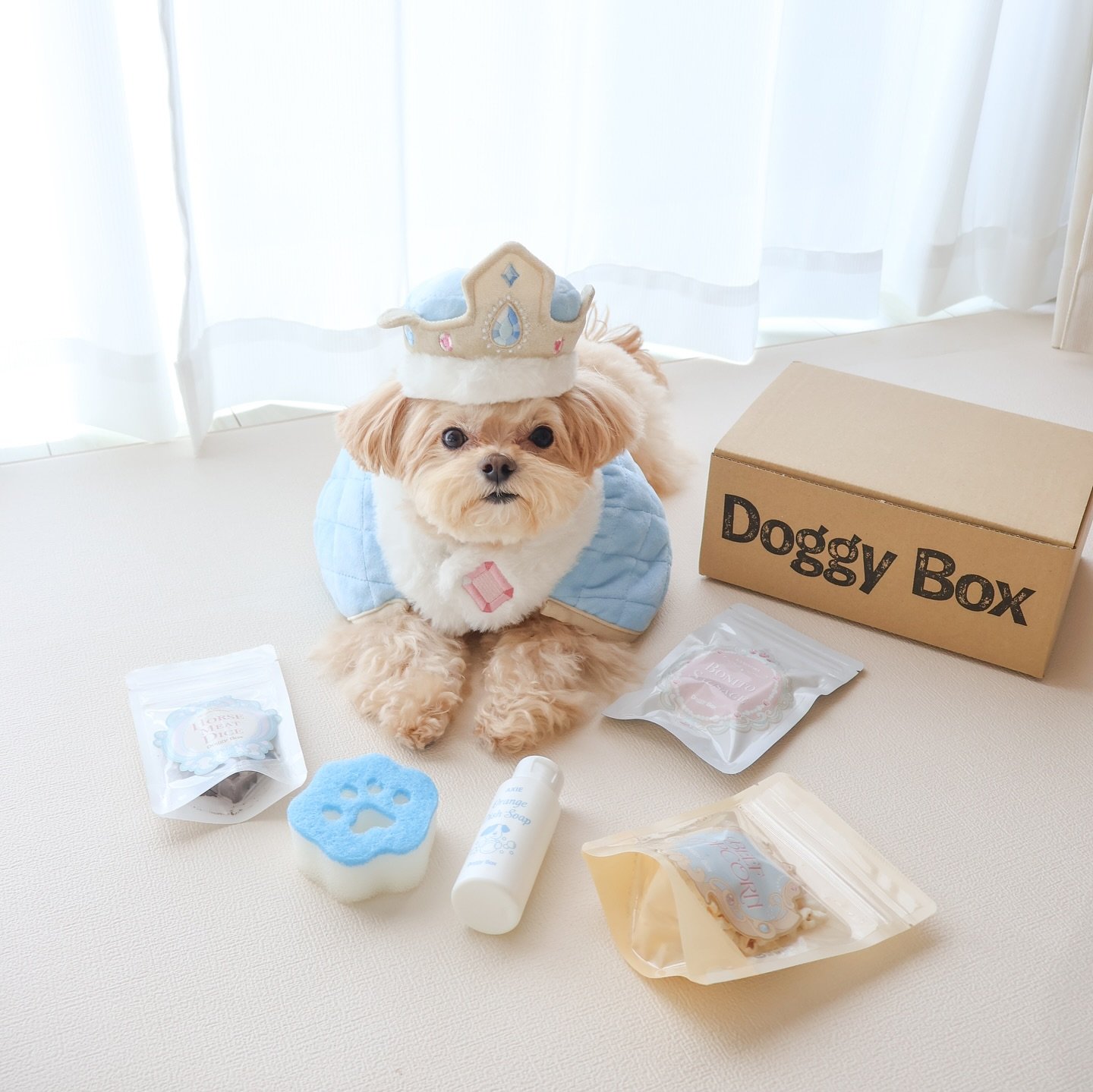 【新品】doggybox ドギーボックス　犬のおもちゃ　60個　セット ドギーボックス【Doggy Box】って本当にいいの？愛犬テトに使っ