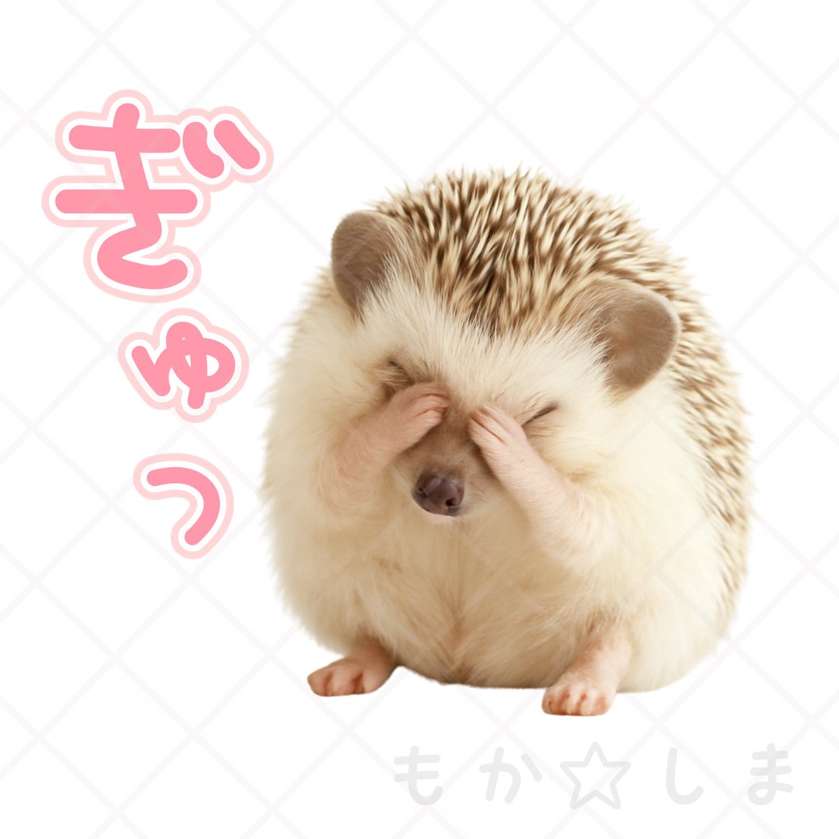 もかしま公式アカウント on X: 