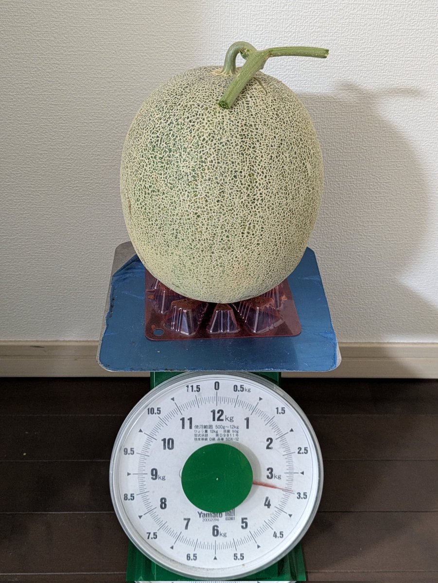 確認どうぞ♥西瓜の皮の色の斑入りです。 スイカ (@740Suikaya3) / X