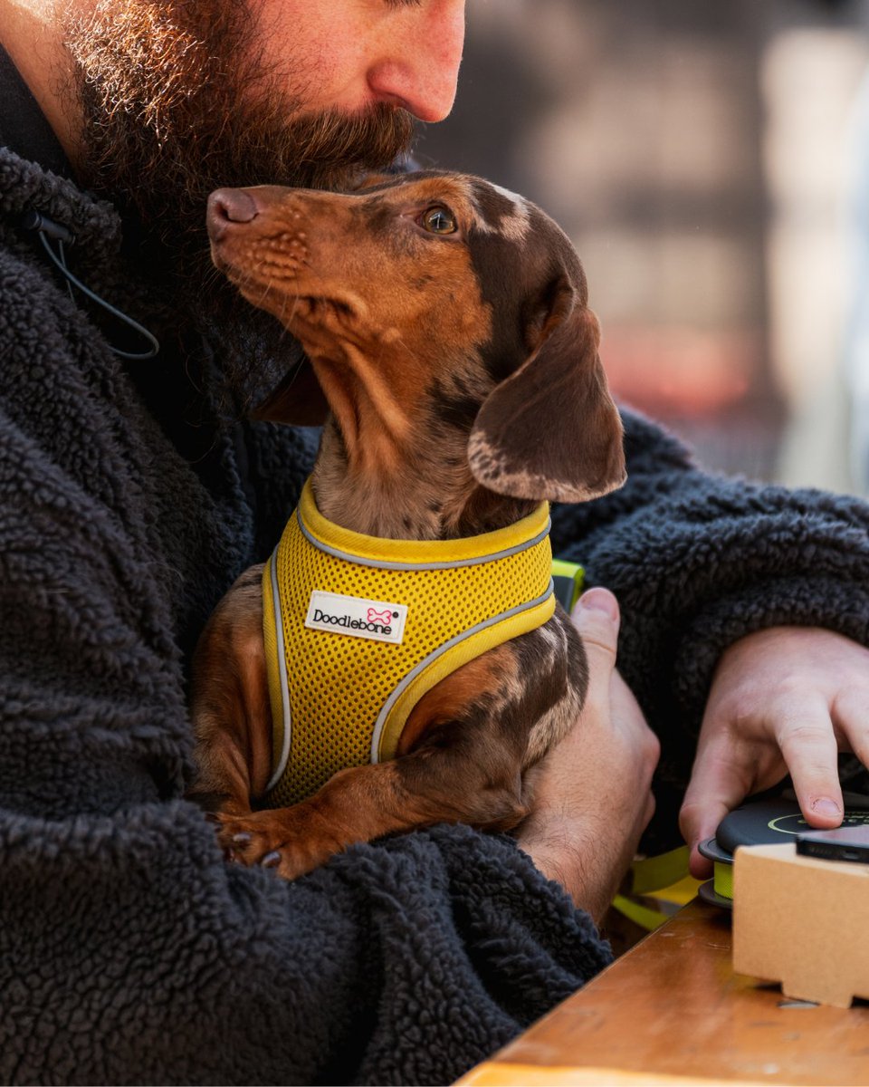 Banks Homes Riverside tweet media