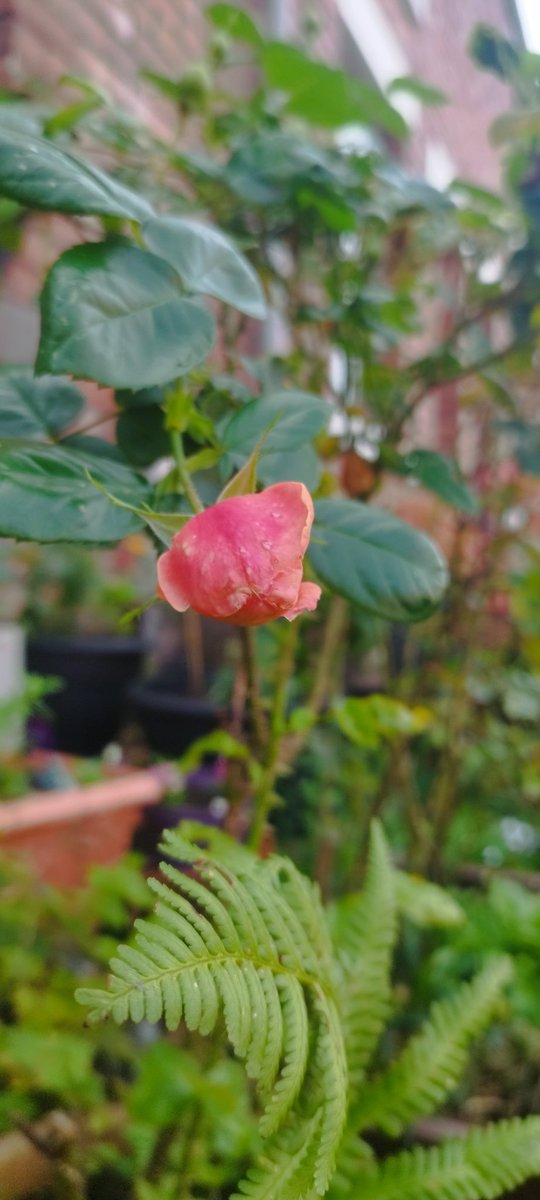 Jonny Lee 6️⃣ 9️⃣ Esq. tweet media