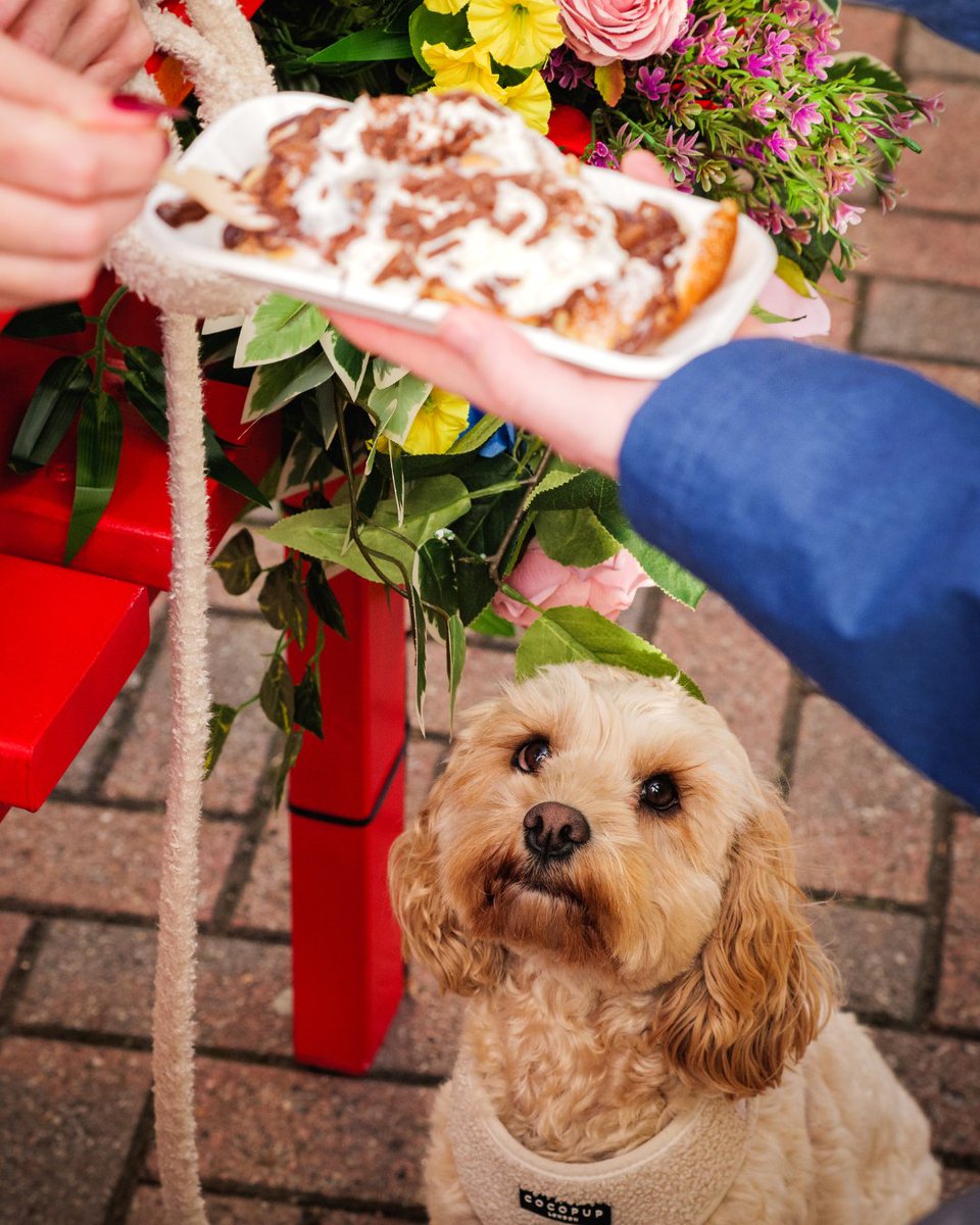 Banks Homes Riverside tweet media