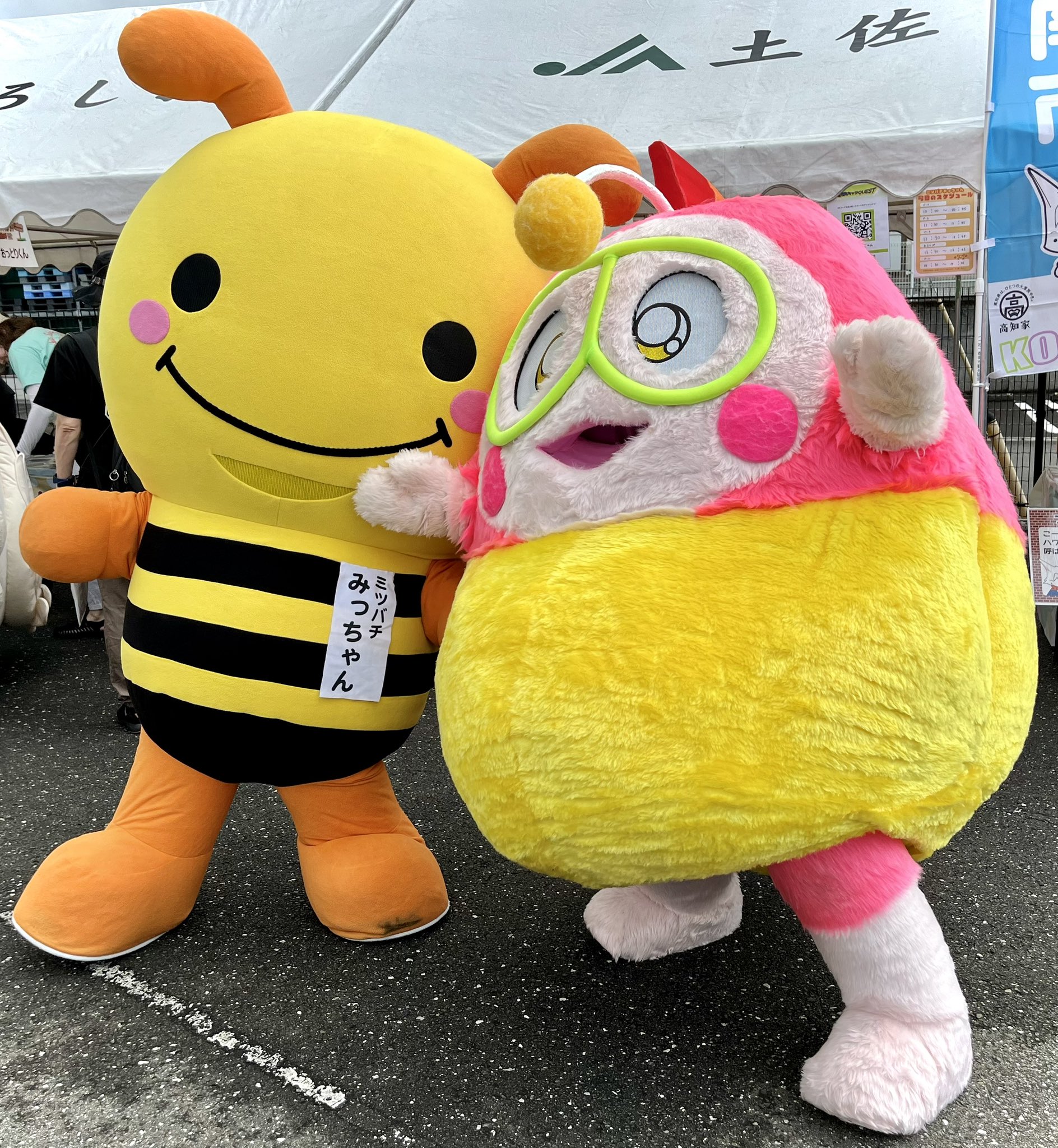 みっちゃん ミツバチみっちゃん【公式】 on X: 