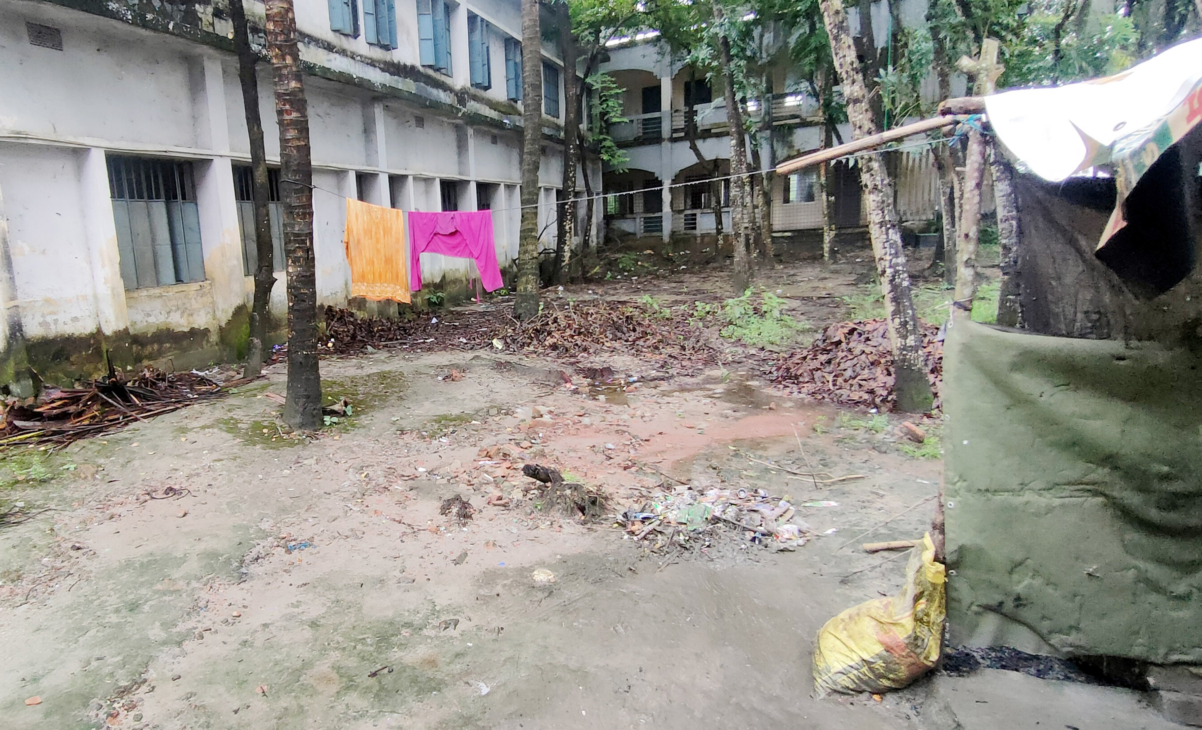 নিলামের নামে স্কুলের গাছ হরিলুটের অভিযোগ