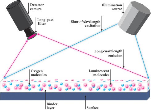 Jordan_W_Taylor's tweet image. Coat a surface with oxygen-sensitive paint that flouresces under ultraviolet and you get Pressure Sensitive Paint: A wind tunnel flow diagnostic technique that gives you live air pressure data at the pixel level, but without a mass of pipework &amp;amp; pressure transducers.