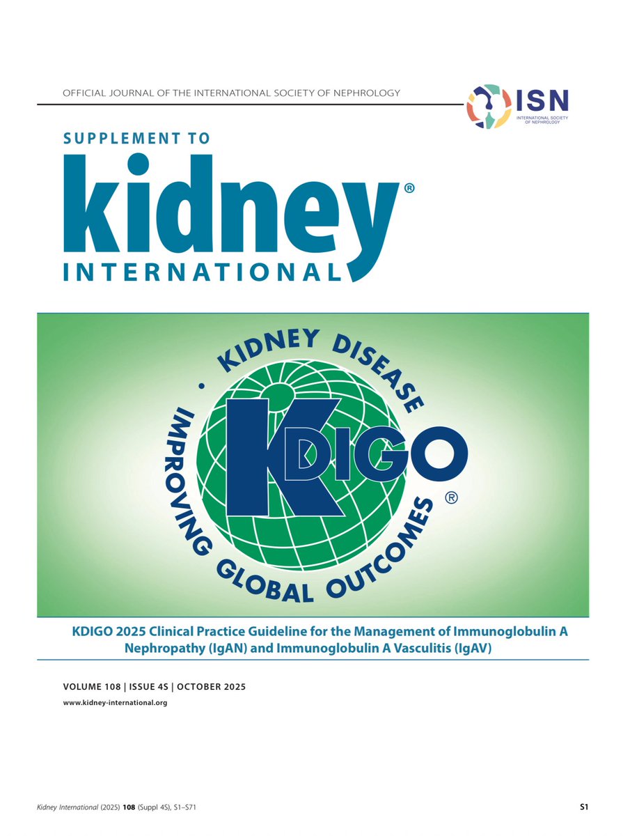 Treatment targets 🎯  in IgA Nephropathy #IgAN and the positioning of drugs ca. 2025 from <a href="/goKDIGO/">KDIGO</a> 
#Nephpearls 

📌 Proteinuria >/= 0.5 g/day (or equivalent) ~ at risk of progressive loss of kidney function 

👉🏼 kdigo.org/guidelines/iga…