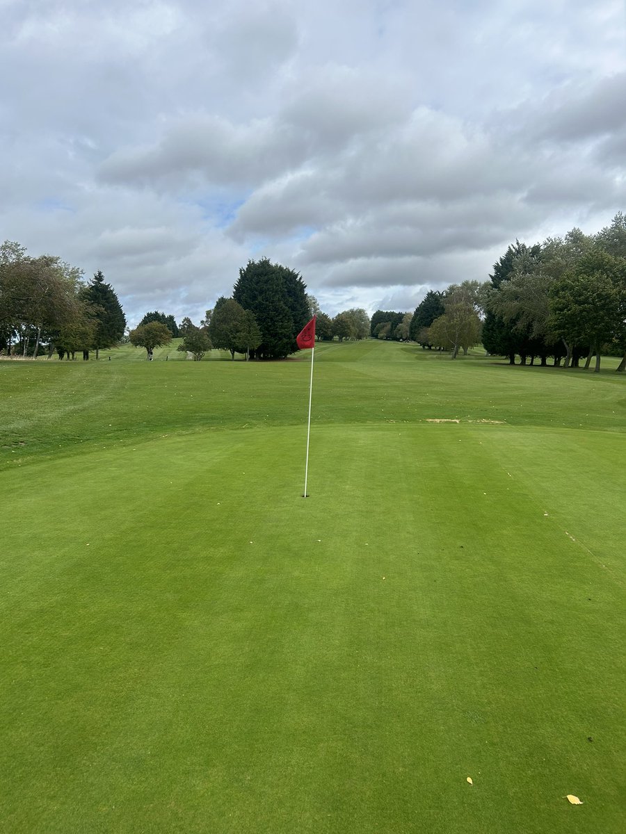 ToftGolfClub's tweet photo. The greens are looking fantastic after maintenance and a drop of rain last week. 👌

#toftgolfclub #greenkeeping #greensmaintenance #golfcourse #greenerfairways https://t.co/o3JuNhYyAp