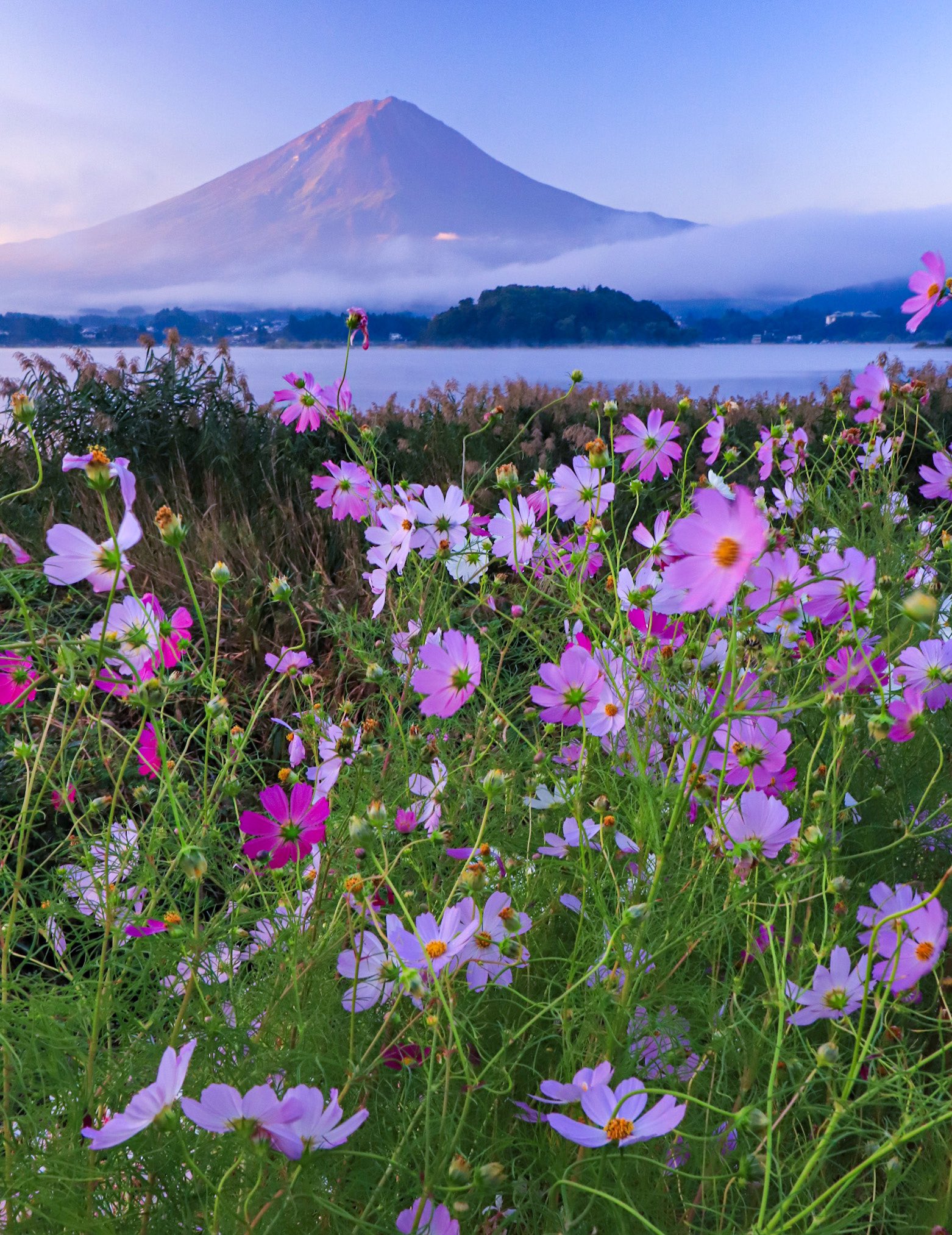 開運！富士山写真 開運！富士山写真