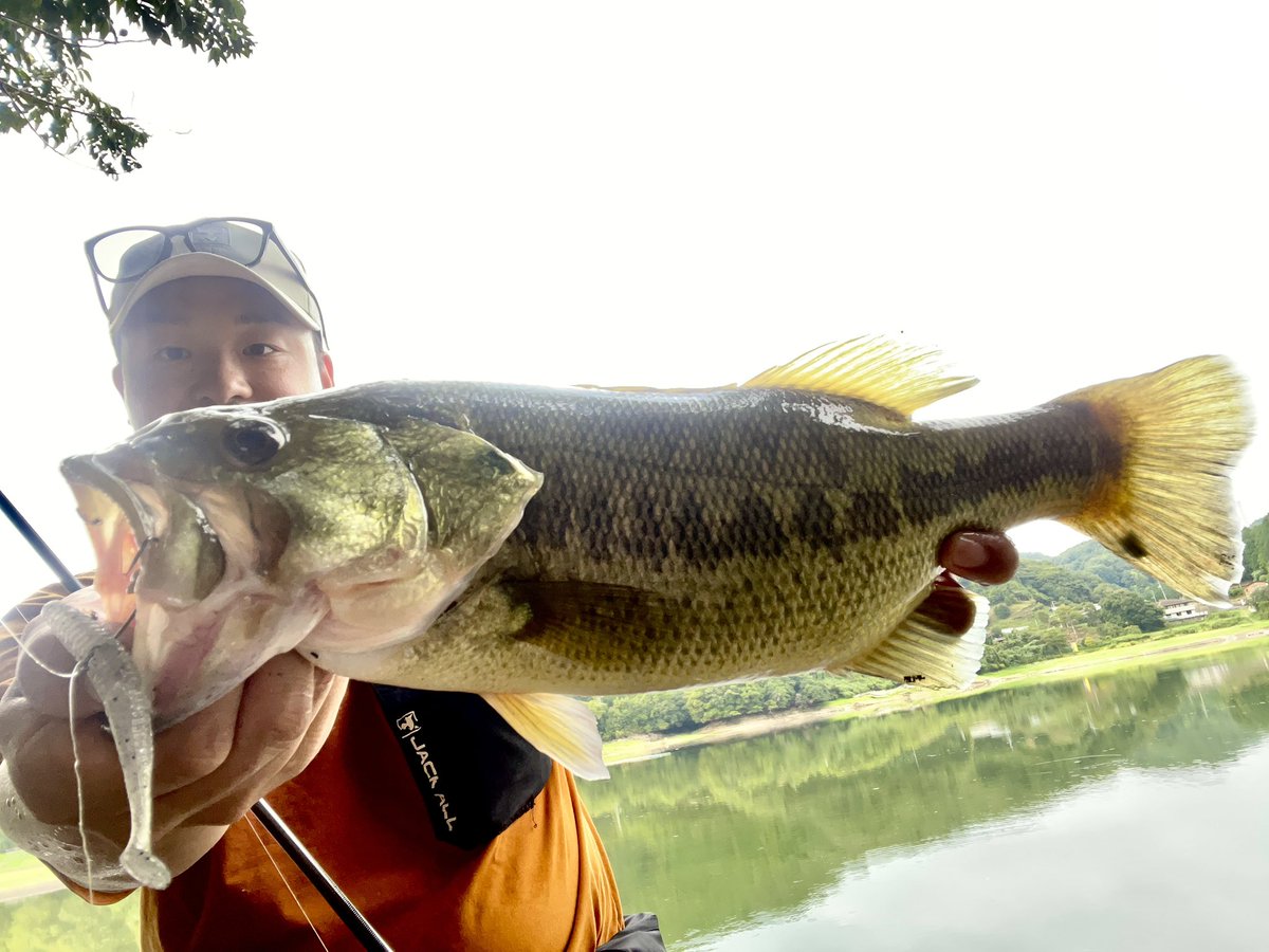 ybassf's tweet photo. 最近の釣果🎣

愛媛県 玉川ダム

ス��イキックス2.5
2.7g DS

#バス釣り #玉川ダム #ジャッカル
#スパイキックス #釣りは最高の遊び
#仕上がってる #PR https://t.co/w1umajYAwz