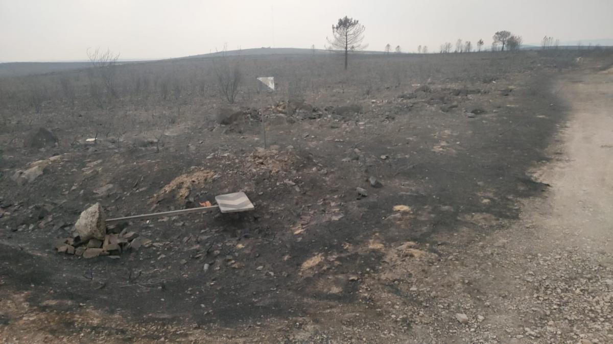 ‼️ La Junta de Castilla y León vuelve a hacer gala de su nefasta gestión en Ávila retirando los camiones de apoyo nocturno al operativo de incendios a pesar de que estamos en plena alerta de riesgo de incendios.
👇

🔗 bit.ly/3VZuRis