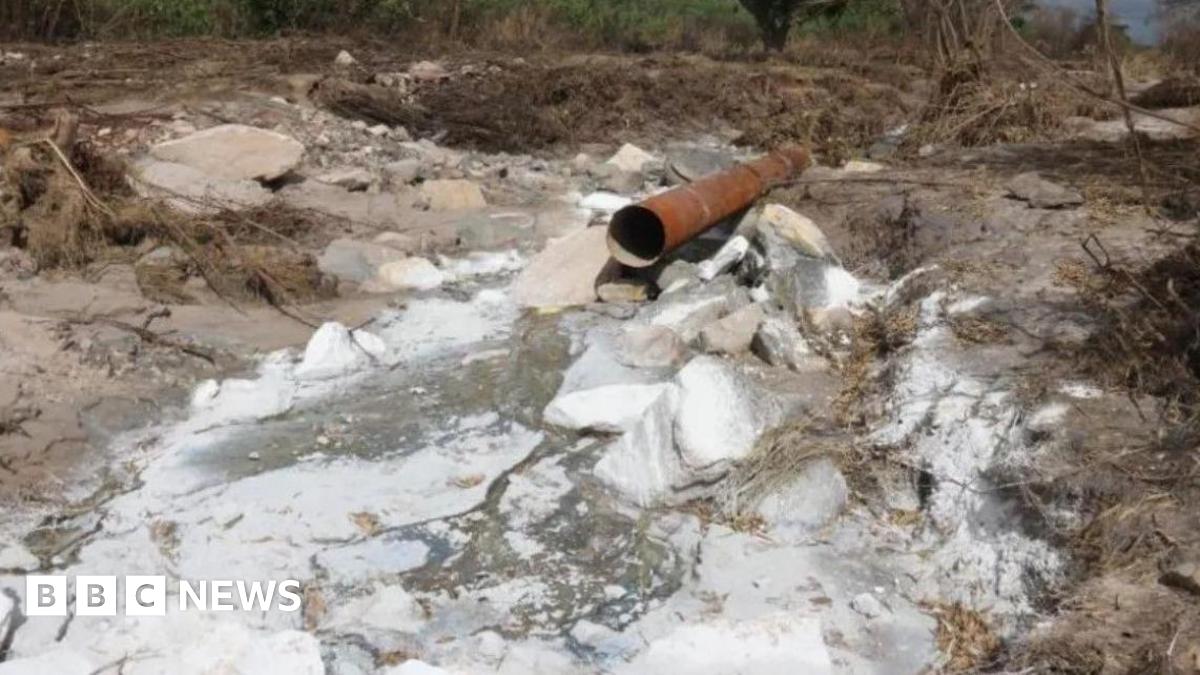 BBCAfrica's tweet image. Zambia&apos;s government says it will seek more compensation for communities affected by a toxic spill from a Chinese-owned copper mine, if this is needed following a full assessment.

bbc.in/4nn8LCf