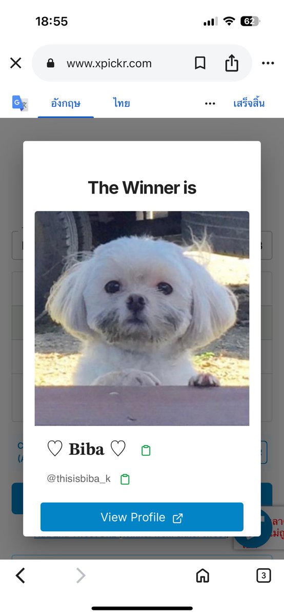 มาแล้วค่า หาเวปสุ่มตั้งนานน
ผชด <a href="/thisisbiba_k/">♡ 𝐁𝐢𝐛𝐚 ♡</a> มารงตในเดมน้า💕