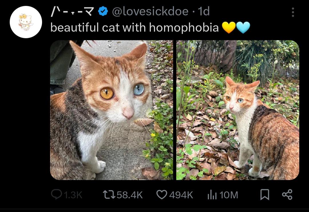 Mofuq's tweet photo. https://t.co/2mptUF2YIM