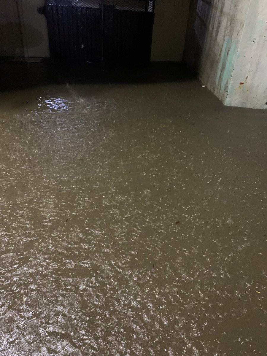 Sami Syed tweet media