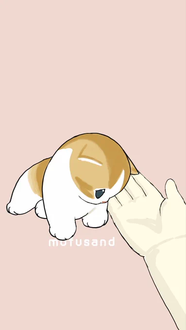 手の上でコロン。 そんな動画を見た。