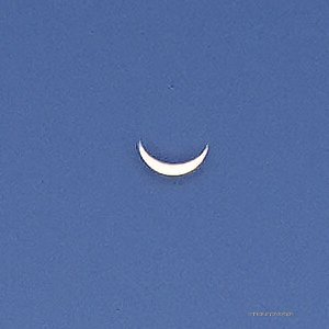 Jimmydreamsmb's tweet image. 9/18 Good morning. On a stay cation to raise funds for local charities with 350 fellow ParrotHeads. 
#Partywithapurpose 😎🦜🎵 #PeaceliveandBuffett❤️ 
@DailyBuffettX @Tim_Yocum @Vikes_Dawgs @Margarillas @EdPiotrowski @AndrewWMBF @LCWxDave @jimmybuffett 
@JimCantore 
@JDSpradlin