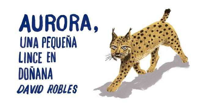 Life Lynxconnect tweet media