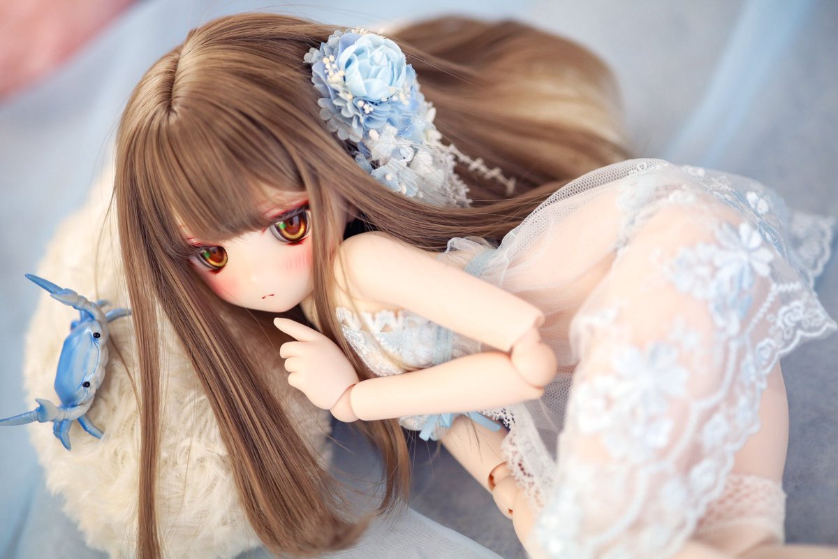 健全な写真を撮りたかったんだ٩( 'ω' )و🦀

#あとりえもにら