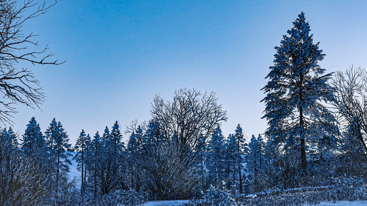 Velxity_'s tweet image. Nearly 7 years ago and it still holds up 

#forzahorizon4 #forzashare #VGPUnite