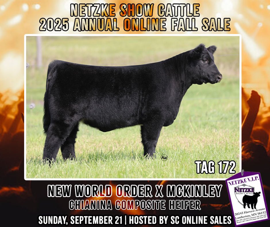 ❗️3️⃣ DAYS UNTIL SALE DAY❗️

•Tag 165| New World Order x Cool Customer | Chianina

•Tag 172 | New World Order x McKinley | Chianina Composite

🗓️Sunday, September 21st || 🔗 sconlinesales.com/Bids/AuctionsL…