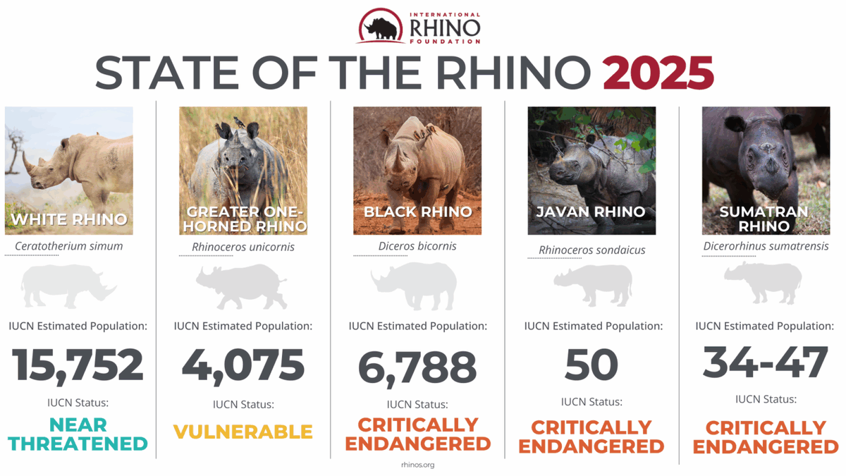 Lovejoy L-Jay Mtongwiza tweet media