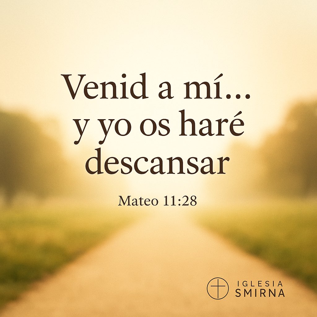 Vicente Castillo J. tweet media