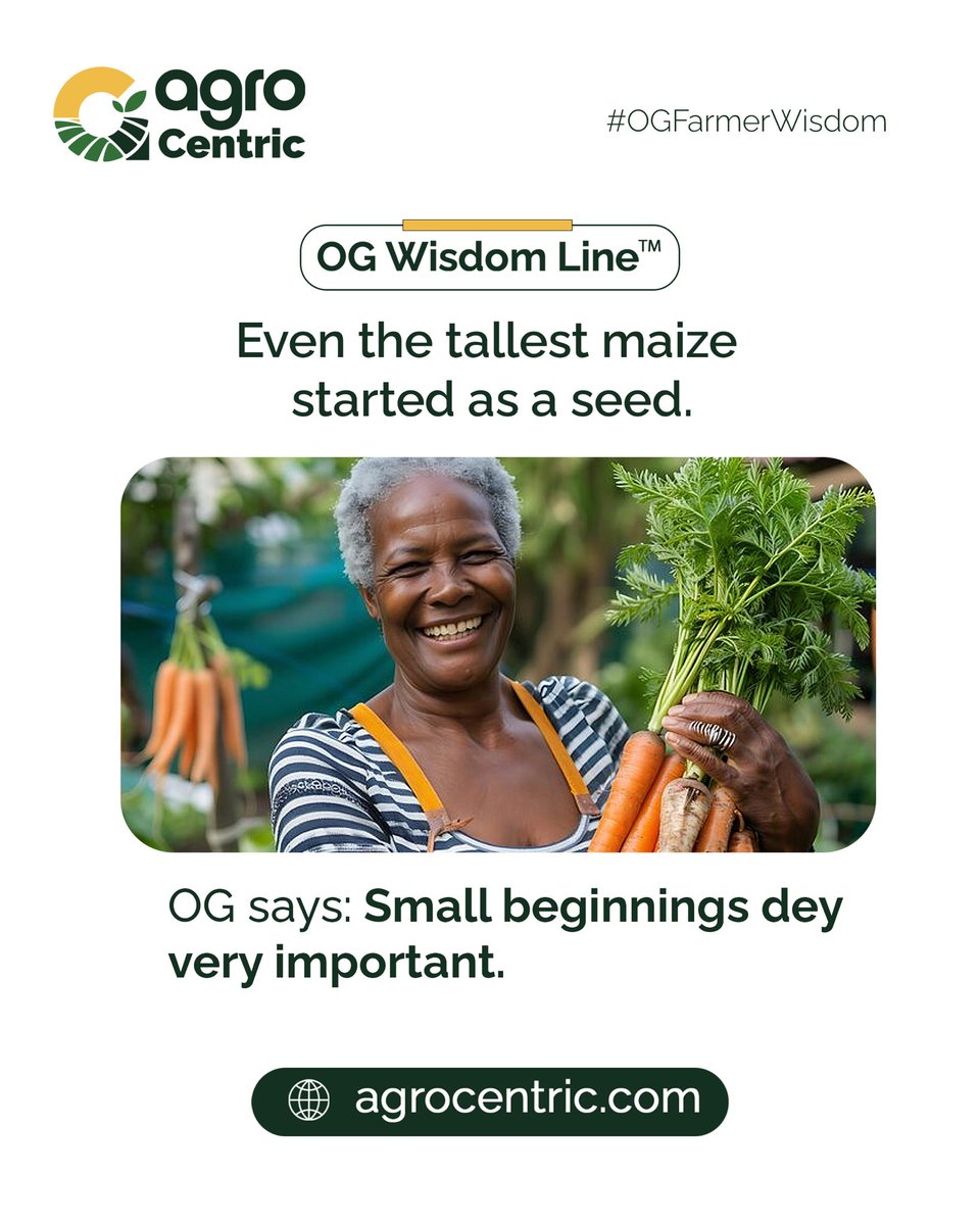agro_centric's tweet photo. OG Farmer is here to remind us that the greatest trees were once seeds. 

#AgroCentric #OGWisdomLine #OGFarmerWisdom #FarmingLife #Agriculture https://t.co/9DSewGFWv7