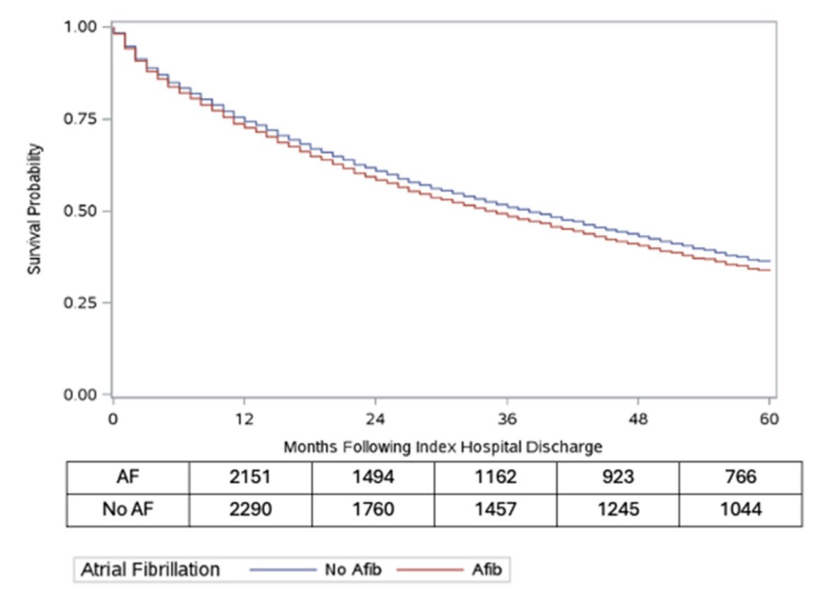 hvanspall's tweet image. Congrats to our Dr Verelst who delivered a 👶🏻 AND published this 📑 the same week!

Among 4441 pts w #HeartFailure, #AtrialFibrillation portended 
⬆️ adjusted risk of ☠️
⬆️🏥s
⬆️healthcare $

Re🏥s drove costs in #AF, but most were not for #HF
#PACTHF #RCT
ajconline.org/action/showPdf…