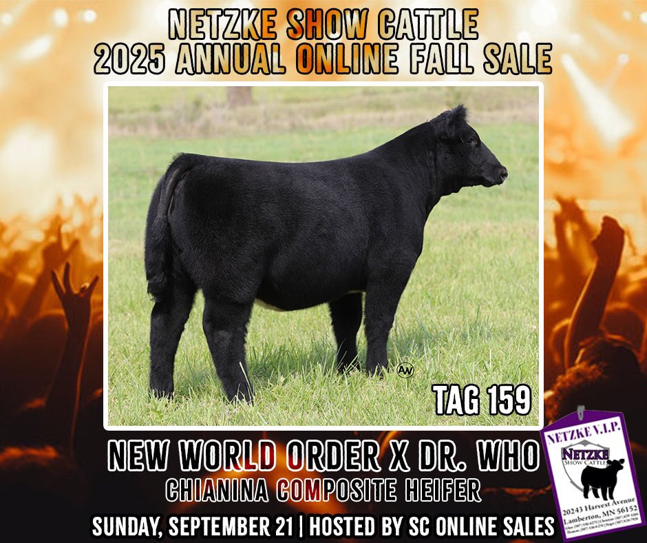 ❗️3️⃣ DAYS UNTIL SALE DAY❗️

We hear New World Order is here to stay and we believe it with this group of calves!

•Tag 156 | New World Order x Dr. Who | Chianina

•Tag 159 | New World Order x Dr. Who | Chianina Composite

🗓️Sunday, September 21st || 🔗 sconlinesales.com/Bids/AuctionsL…