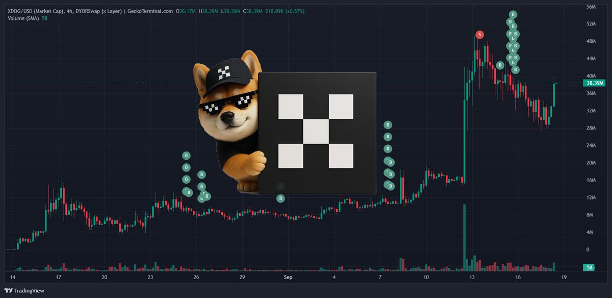 Been here since the early days and it still feels like we’re just warming up.

$XDOG is different 🐕🔥