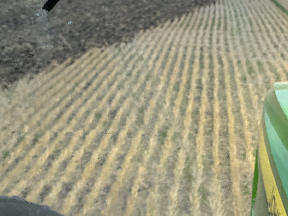 Jeff Calder 🏴☠️🦆 tweet media