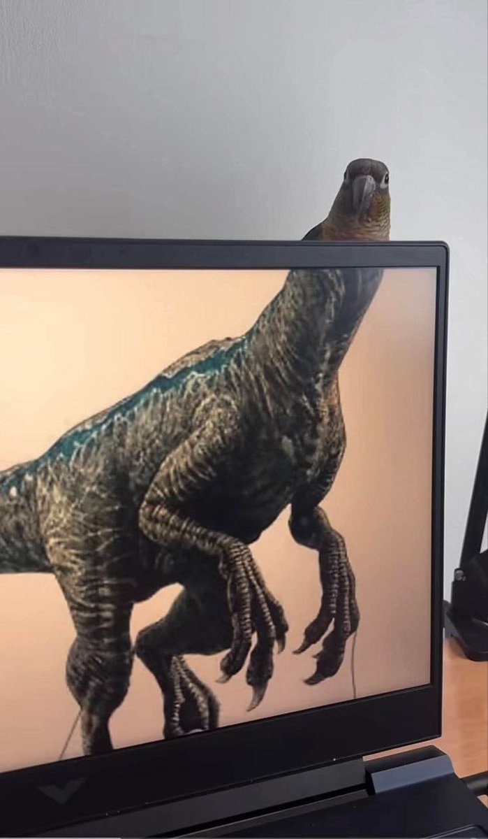 UMassDeltaChi's tweet photo. Behold, the mighty Parrotosaurus Rex 🦖🦜 https://t.co/pqrrizpOlQ