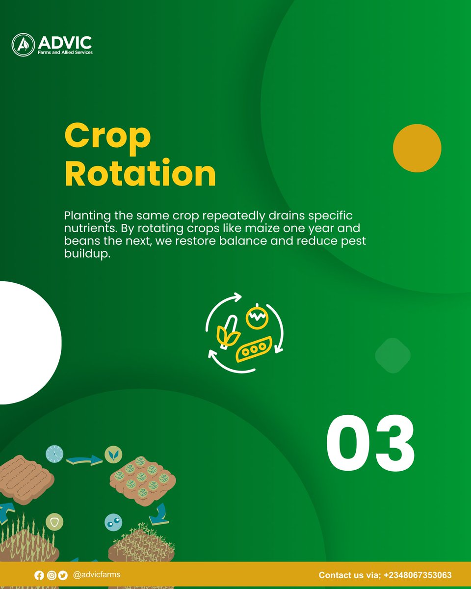 Healthy soil is the foundation of healthy food and healthy people. It is important that we keep our soil alive through regenerative practices, because soil is not just where food grows, it’s where life begins.

👉 How else do you think we can protect this living treasure?