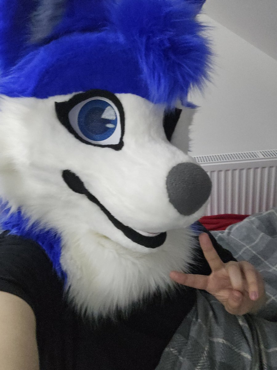 What kinda pics do you wanna see me take in suit? :3c