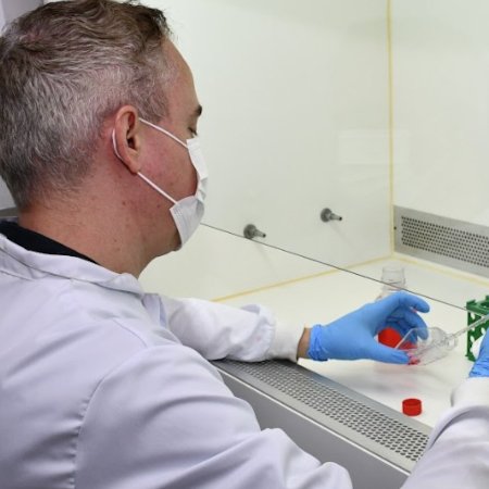 AgenciaFAPESP's tweet photo. #Microplásticos podem afetar a saúde dos #ossos. Pesquisadores brasileiros analisaram 62 artigos científicos sobre o tema e identificaram que os materiais têm efeitos negativos no tecido ósseo. Artigo a respeito foi publicado em Osteoporosis International. https://t.co/BGChtQloGF https://t.co/jZkggpM385
