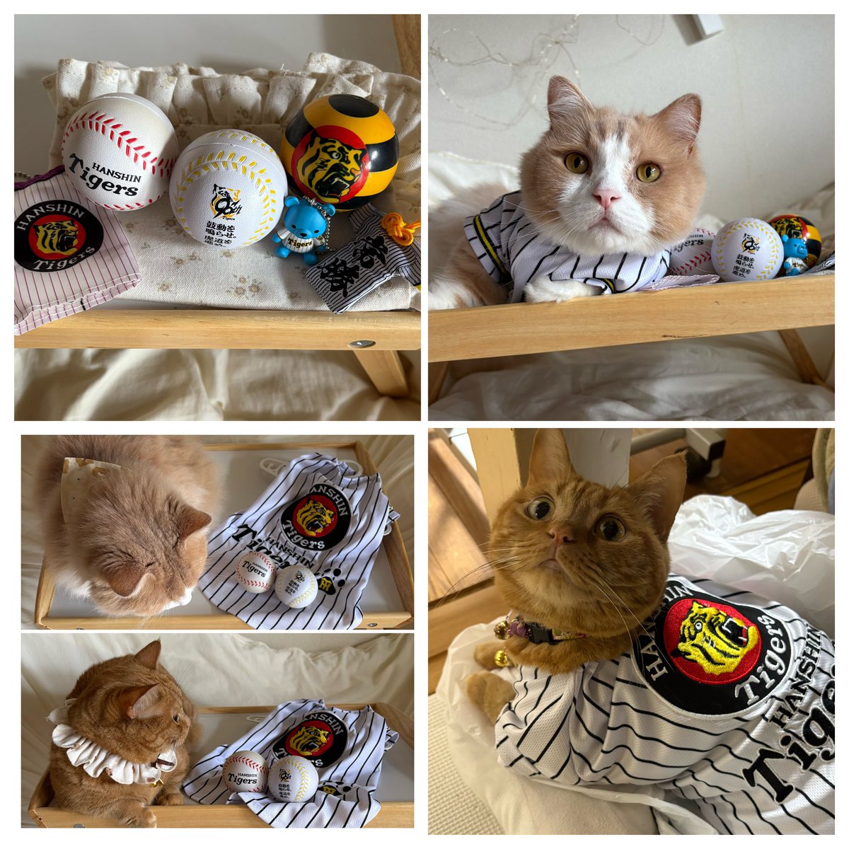 satomi.suzu.rin (@s6318a) / Posts / X